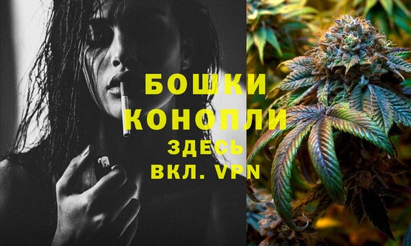 PSILOCYBIN Корсаков
