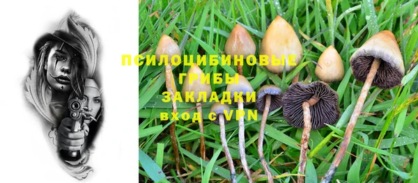 а пвп мука Козельск