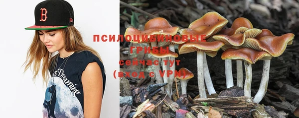 трава Козловка