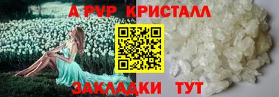 спиды Кунгур