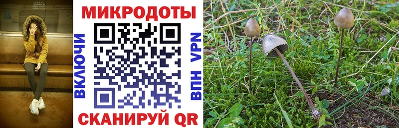 Галлюциногенные грибы Magic Shrooms  Кингисепп 