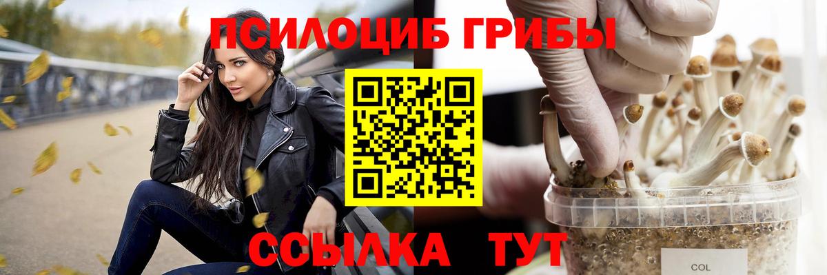 Галлюциногенные грибы ЛСД Кингисепп
