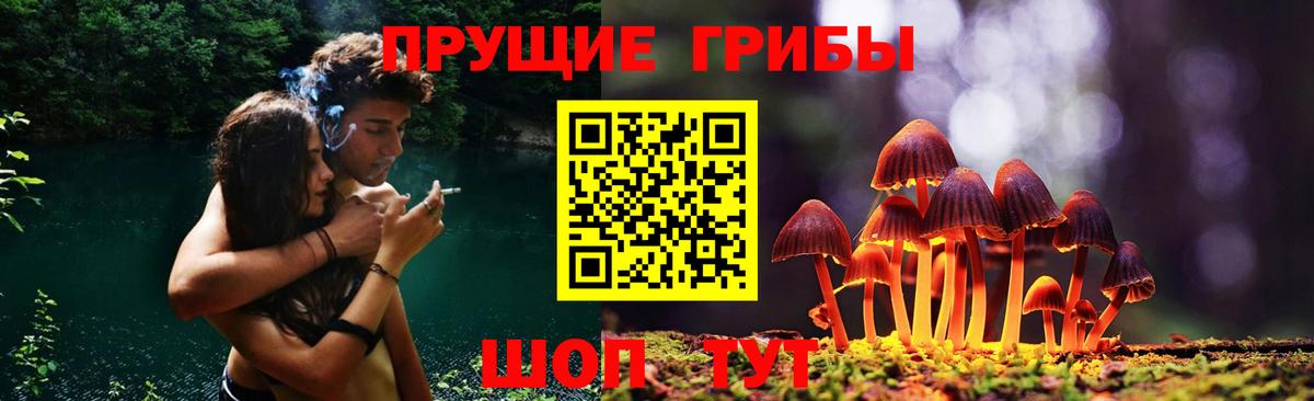 цены наркотик  Галлюциногенные грибы ЛСД  Вход с VPN  Кингисепп 