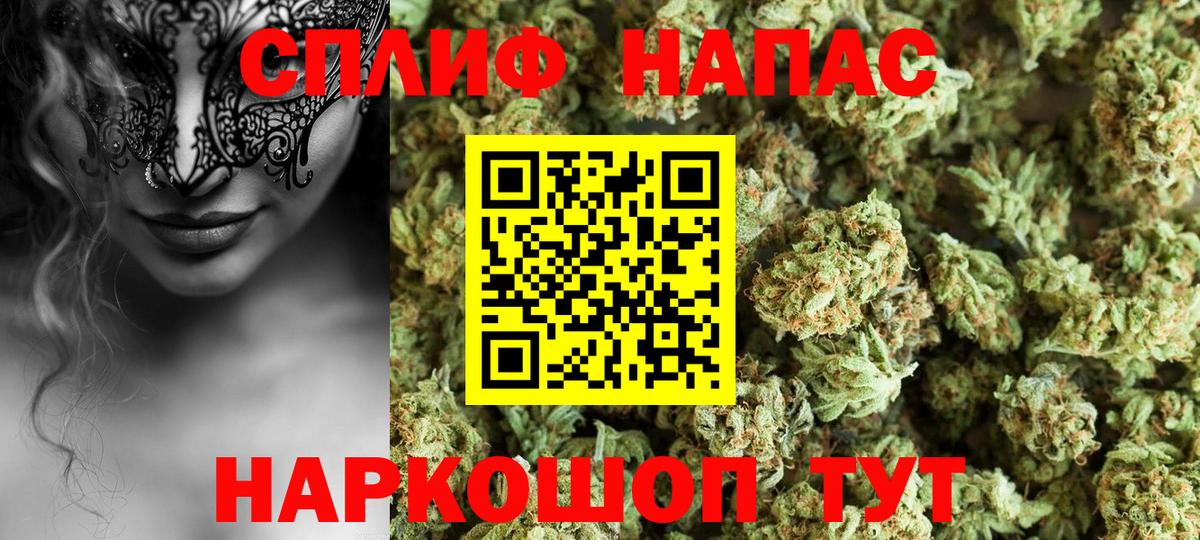 Канабис White Widow Кингисепп
